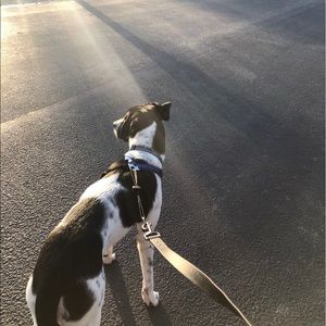 Meet your Posher, Kaitlyn